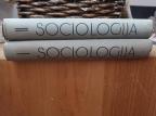 Sociologija 1 - 2, GURVIČ