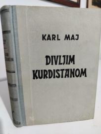 DIVLJIM KURDISTANOM - roman