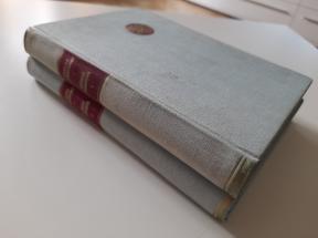 Nečista krv, Koštana - Pripovetke 1-2