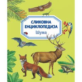 Slikovna enciklopedija: Šuma