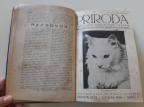 Priroda - Popularni ilustrovani časopis 1936. god.
