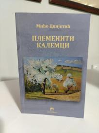 PLEMENITI KALEMCI -Knjizevni sporovi i svetovi,tumacenja i kritike