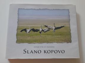 Ramsarska područja Vojvodine - Slano kopovo na engleskom