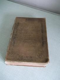 1896. Čitanka slavenske i madžarske književnosti