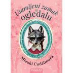 Usamljeni zamak u ogledalu