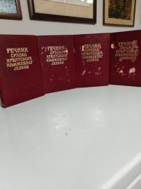RECNIK SRPSKOHRVATSKOG KNJIZEVNOG JEZIKA I-IV