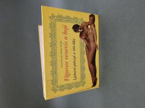 Ljubavni položaji u 100 slika