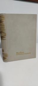 VODENICA NA FLOSI - roman