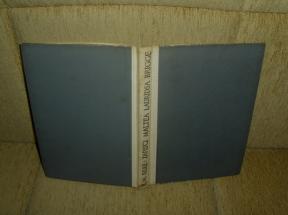 Zapisi Maltea Lauridsa 