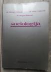 Sociologija - osnovni pojmovi i problemi