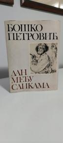 DAN MEDJU SLIKAMA - esej