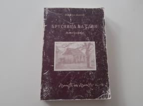 Brusnica na Savi, monografija
