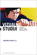 Vizualni studiji